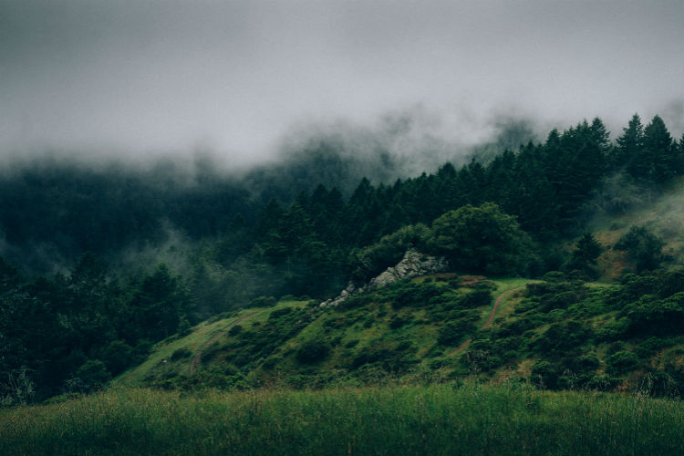 DDOS在线压力测试